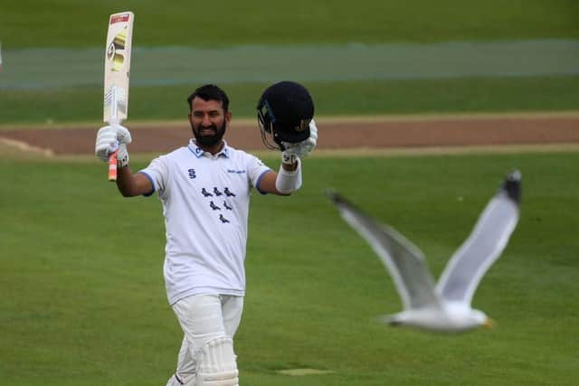 Even the Sussex seagulls came to watch Chet Pujara bat | Picture from Sussex Cricket