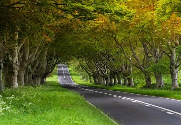 A report was created by Cromwell Trucks and Online Marketing Surgery that reveals the most congested roads in East Sussex. Photo by Nick Fewings