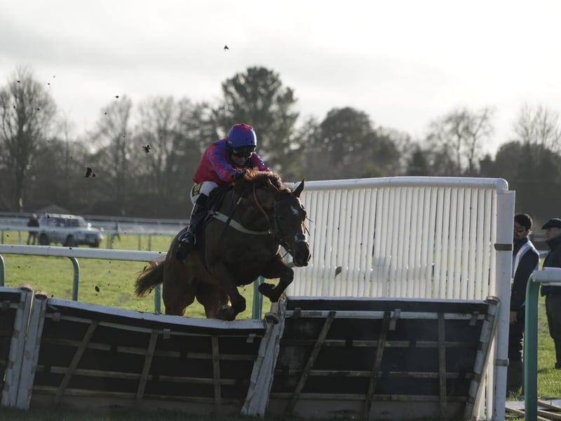 National Spirit Hurdle race day 2026 at Fontwell Park