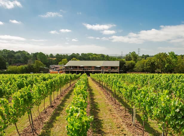 Bolney wine estate is hosting various events over the summer for its 50th anniversary