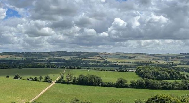 Just a stone's throw from Chichester, the South Downs National Park offers breathtaking views, idyllic walks and the chance to spot local wildlife