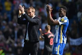 Former Manchester United and Arsenal striker Danny Welbeck is enjoying his time under Graham Potter at Brighton