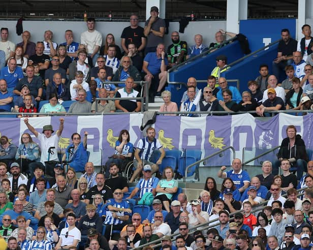 Brighton & Hove Albion’s fans are among the happiest in the Premier League, a new study has revealed. (Photo by Steve Bardens/Getty Images)