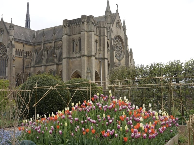 More fantastic photos of the Arundel Castle Tulip Festival
