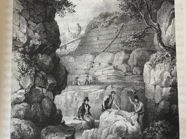 The Quarry in 'Tilgate Forest' - Cuckfield