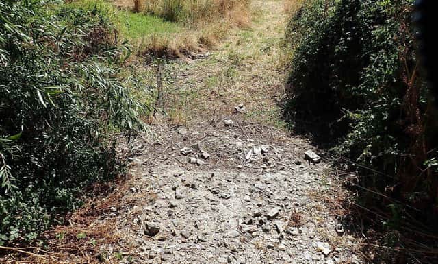 Dry section of the River Ems during the 2022 drought