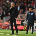 LIVERPOOL, ENGLAND - OCTOBER 30: Graham Potter, manager of Brighton & Hove Albion reacts during the Premier League match between Liverpool and Brighton & Hove Albion at Anfield on October 30, 2021 in Liverpool, England. (Photo by Shaun Botterill/Getty Images)