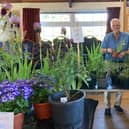 The plant sale was the Ferring Gardening Club's first since 2019 and members made an 'excellent' effort to come up with a wide variety of plants