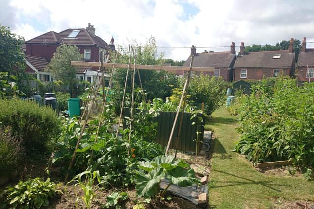 Station Road allotment site