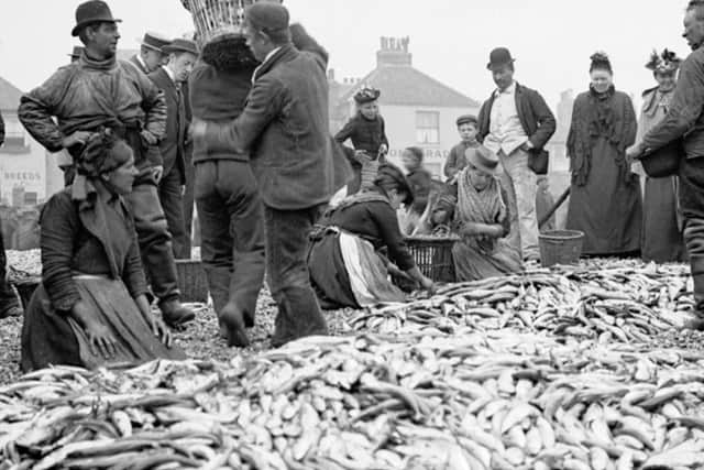 Women counting herrings on the fishing beach
