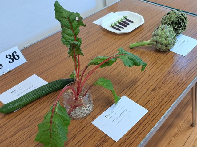 Entries for Class 36, any vegetable not in schedule