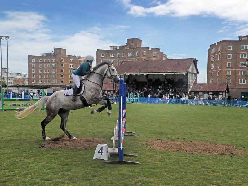 Bexhill Horse Show 2025. Photo by Roberts Photographic.