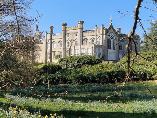 Spring blooms at Sheffield Park and Garden near Haywards Heath
