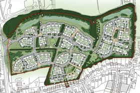 How up to 265 homes on land north of Glebe Farm and Kings Barn Lane, Kings Barn Lane, Steyning, might be laid out. Image: Richborough Estates Ltd