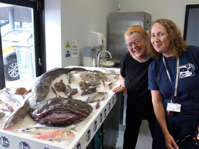 Hastings Seafood & Wine festival 2023. Photo by Kevin Boorman.
