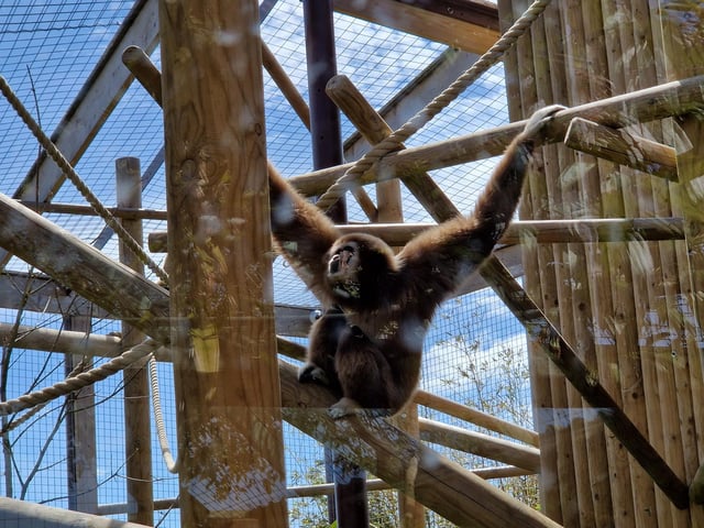 Drusillas offers animals, rides, play areas and more for families from Sussex and beyond
