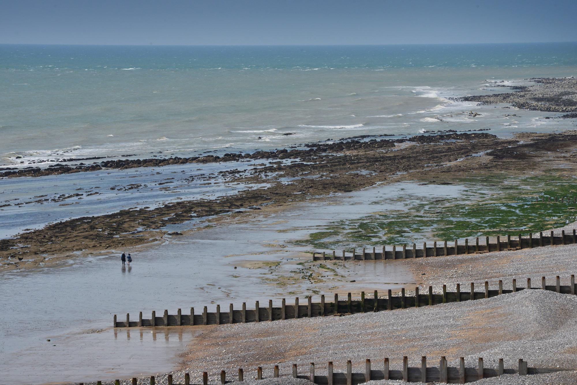 Woman's body found on Eastbourne beach has been identified, police say