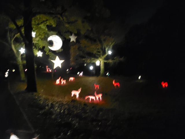 An enchanting winter lantern trail at Wakehurst Place