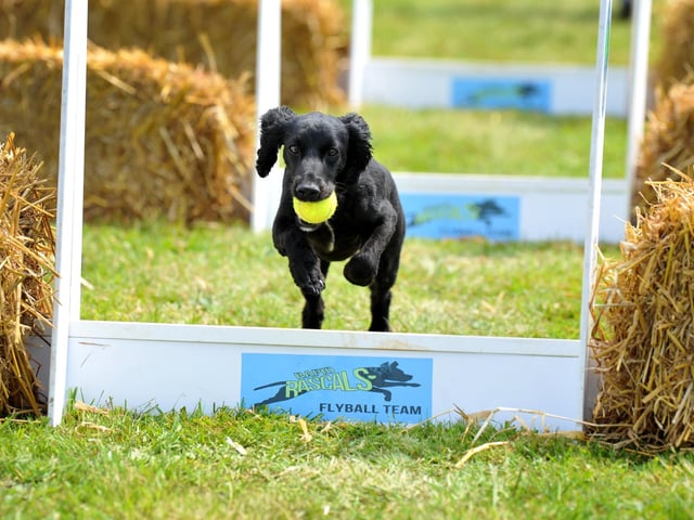 Saturday at Goodwoof 2023. Pic S Robards SR2305201