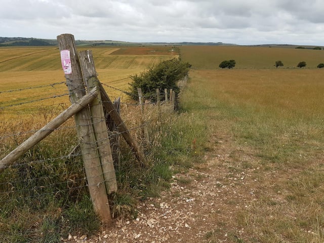 Turn left here and follow the fence to another gate.