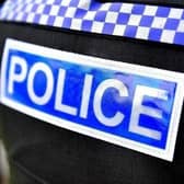 Sussex Police said it is believed a Mini Cooper S was stolen between 3pm and 5pm on Monday, March 25, in the Rudgwick area