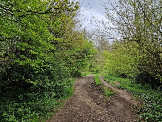 Follow the path as it then bends left again