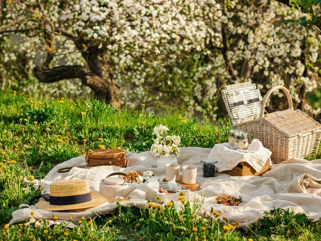 International Picnic Day