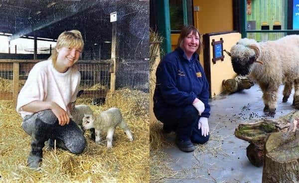 Zoo Business Manager, Sue Woodgate, began her career at Drusillas in 1984, starting out as a Junior Keeper at 17 years old when she was ‘handed a bucket and told to go and muck out the lemurs’ with little to no idea what she was doing. But her deep connection to animals and the much-loved visitor attraction began far earlier, when her parents moved her and her brother from Kent to Sussex, taking residency in caravans in the zoo car park.