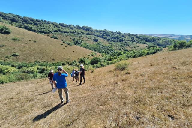 Conservation charity Buglife has received a £1,500 donation from Barratt Homes and David Wilson Homes to support efforts to protect one of the UK’s rarest insects in the Sussex South Downs. Picture: Barratt Homes and David Wilson Homes