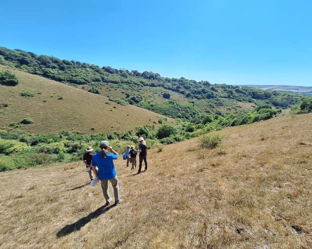 Conservation charity Buglife has received a £1,500 donation from Barratt Homes and David Wilson Homes to support efforts to protect one of the UK’s rarest insects in the Sussex South Downs. Picture: Barratt Homes and David Wilson Homes