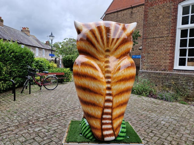 Colourful owls have flown into Arundel as part of the Wild in Art event The Big Hoot trail, raising money for Chestnut Tree House.