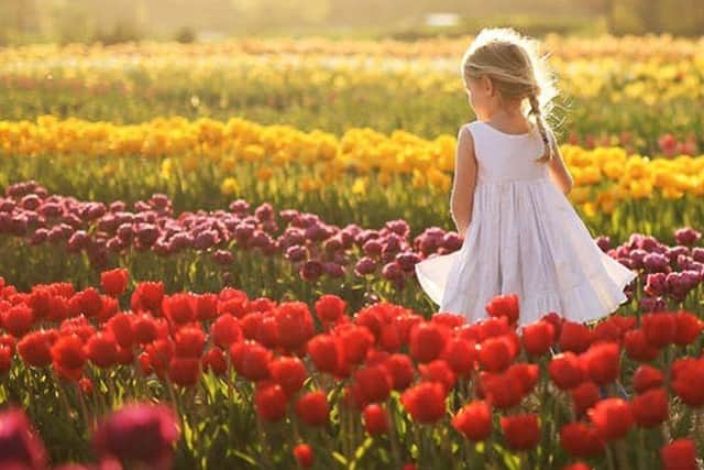 Little Girl Enjoying The Fields 