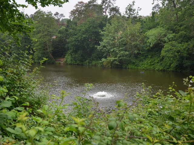 Buckshole Reservoir in Hastings.