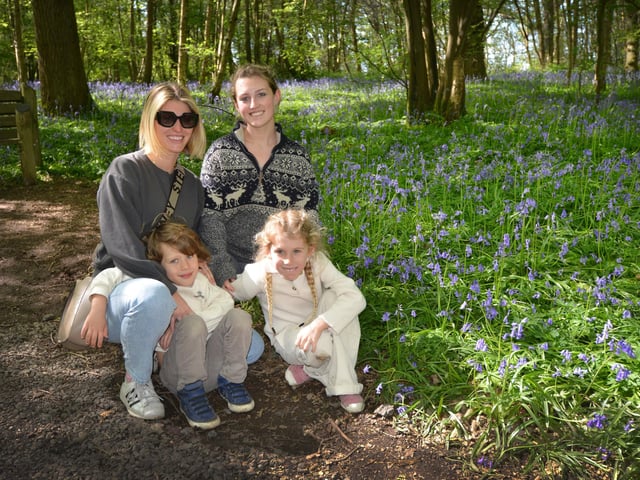 Arlington Bluebell Walk 2024. Photo taken on April 30.