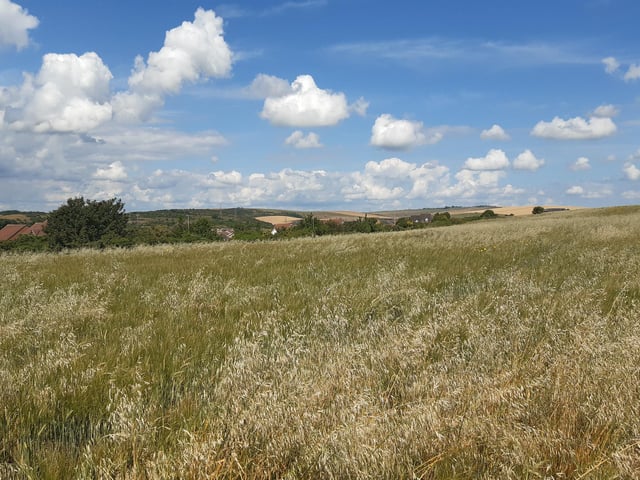 I enjoyed the last of the countryside views...