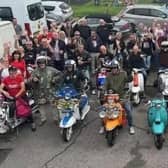 Bognorphenia, 2024.