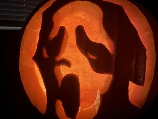 Pumpkin picture provided by Hannah Knight