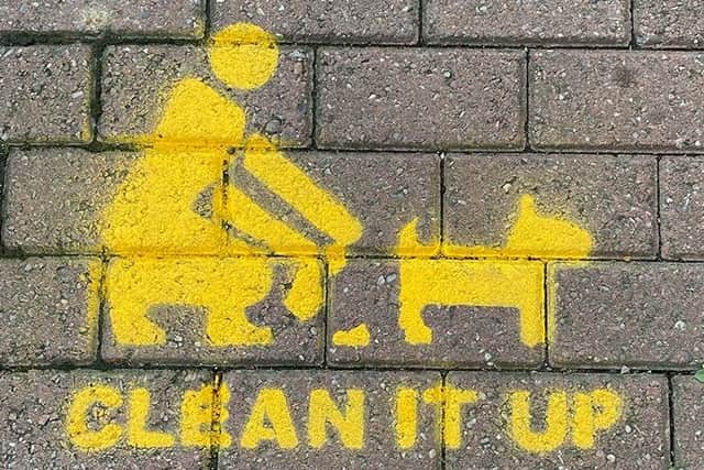 If given the go-ahead, the new rules would mean anyone walking their dogs on the Adur Ferry Bridge footpath, and on the riverbank footpath between Brighton Road and Riverside in Shoreham Beach, would have to keep them on a leash. Photo: Adur District Council