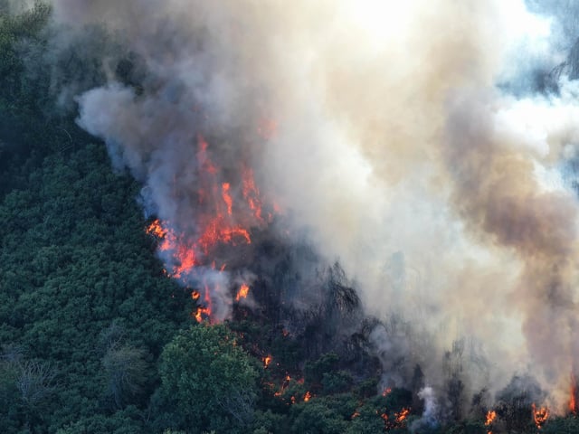 Fire crews worked ‘throughout the night’ to bring a wildfire under control at a beauty spot in Sussex.