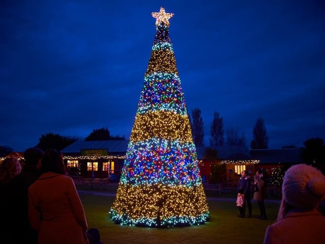 This Christmas you can meet Father Christmas, climb inside a giant present, ride Santa’s sleigh, and get lost in the Christmas tree forest – not forgetting a seasonal selfie in front of the magnificent 24ft tree of lights. New this year visitors can enjoy a jolly ol’ sing-a-along with a fun new singing reindeer trio in the Park’s Events Arena.
The highly in-demand Santa experience includes a personal one-to-one with Santa, photo opportunity and a magical Christmas gift. Drusillas’ Santa’s grotto is now open for bookings via their online booking system.