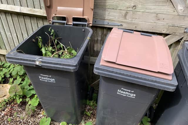 Council garden waste bins