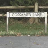 A spokesperson for Sussex Police confirmed Gossamer Lane had been closed after emergency services were called to a medical incident at an address on the street at about 12.30pm on Monday, September 23. Picture: Sussex News and Pictures