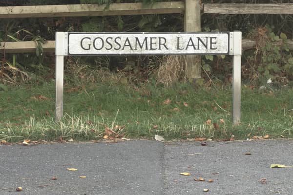 A spokesperson for Sussex Police confirmed Gossamer Lane had been closed after emergency services were called to a medical incident at an address on the street at about 12.30pm on Monday, September 23. Picture: Sussex News and Pictures