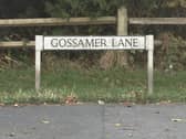 A spokesperson for Sussex Police confirmed Gossamer Lane had been closed after emergency services were called to a medical incident at an address on the street at about 12.30pm on Monday, September 23. Picture: Sussex News and Pictures