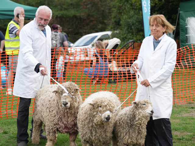 Findon Sheep Fair 2026