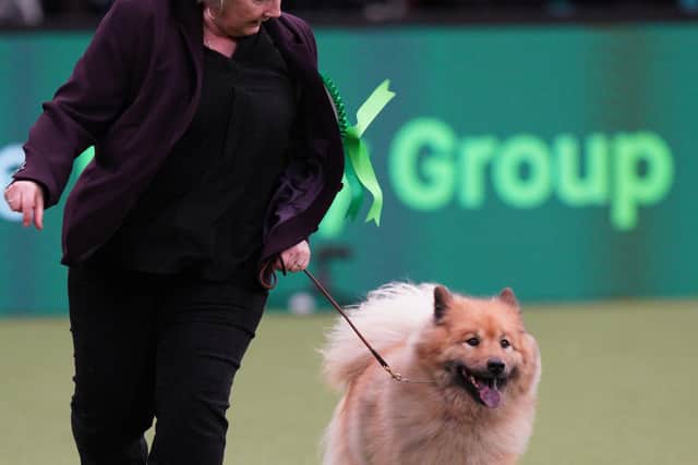 Susie Reynolds and Stacey Watkins from Brighton won Best of Breed with Eurasier Ruby.