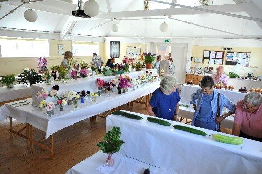 Lurgashall Horticultural Flower Show 2022
Pic by Steve Robards