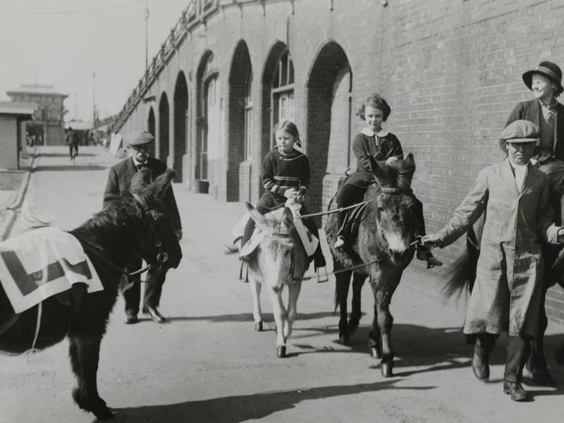 The bright sunshine has brought out the donkeys at Brighton and children are pictured enjoying rides.
