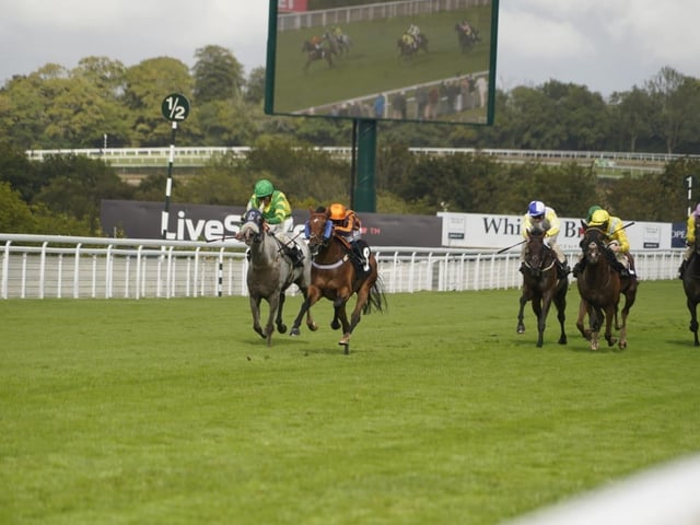 September flat racing at Goodwood Racecourse