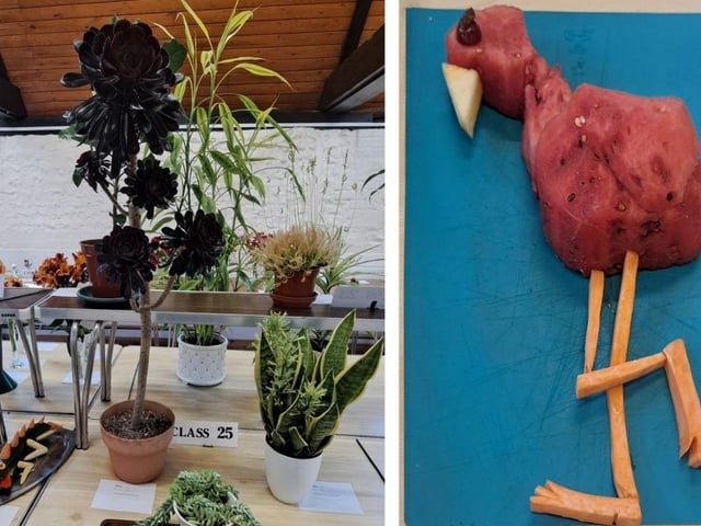 Pot plants and an animal made from fruit